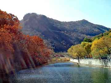 新澳天天开奖资料大全旅游团，高羊茅草坪